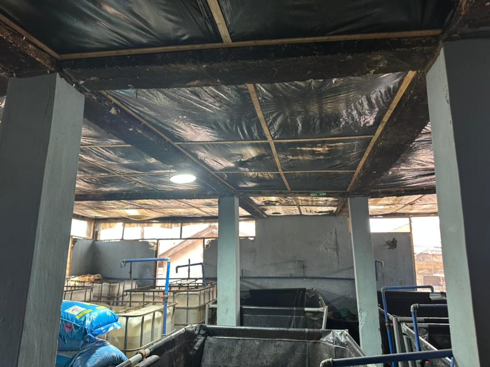 Inside the roofed tarpaulin tank facility at Azu River Farms, Port Harcourt